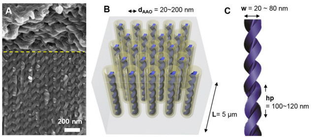 Electron Microscopy Pictures and Conceptual Diagrams of Helical Nanostructures